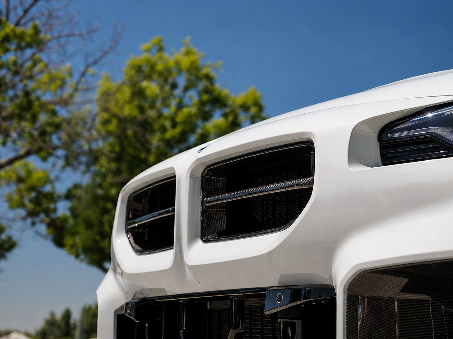 MP Style Carbon Fiber Front Grille - BMW M2 G87