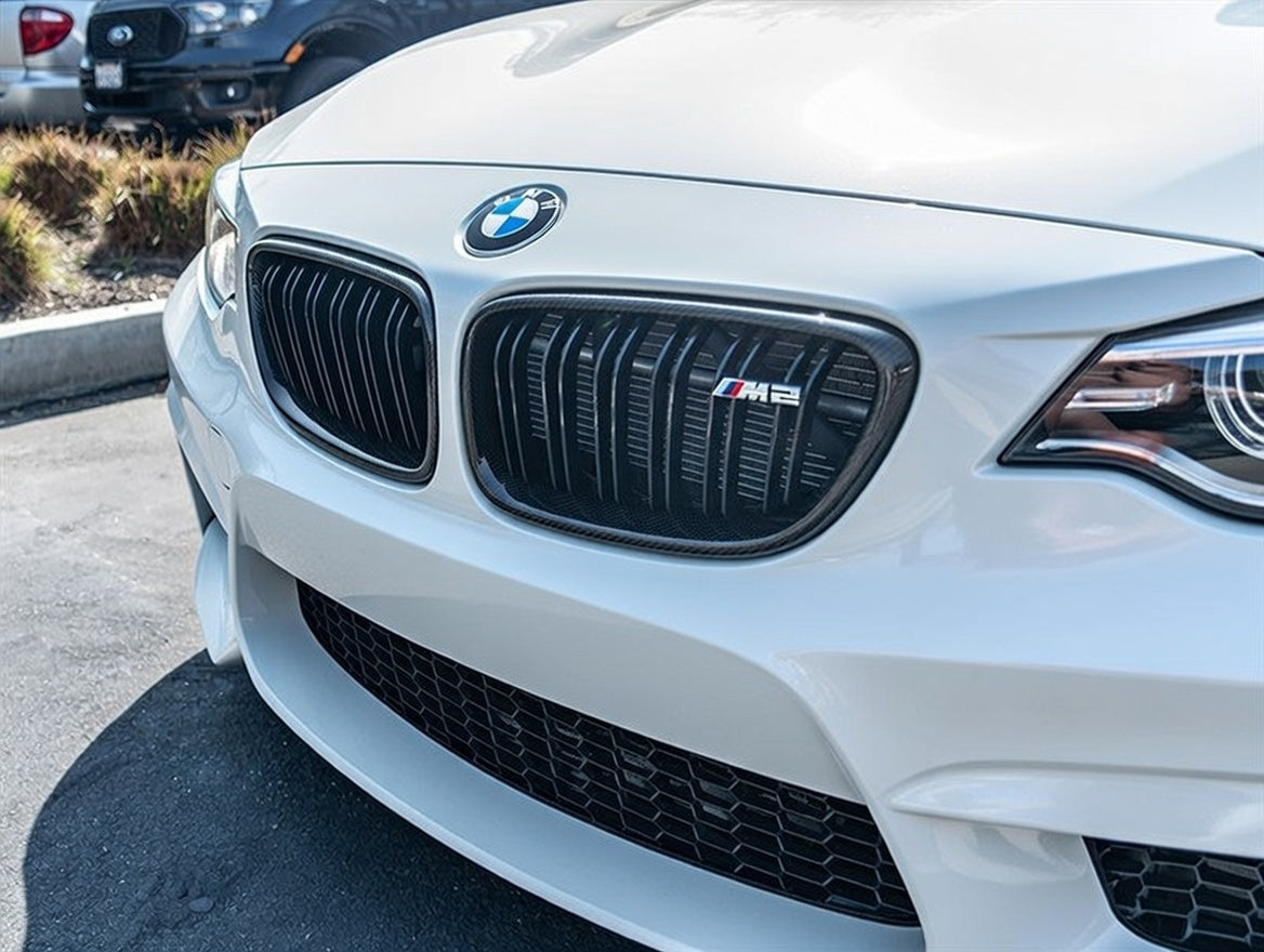 Carbon Fiber Grille - BMW 2 Series