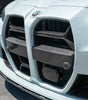 Carbon Fiber Grille CSL Style - BMW M3/M4