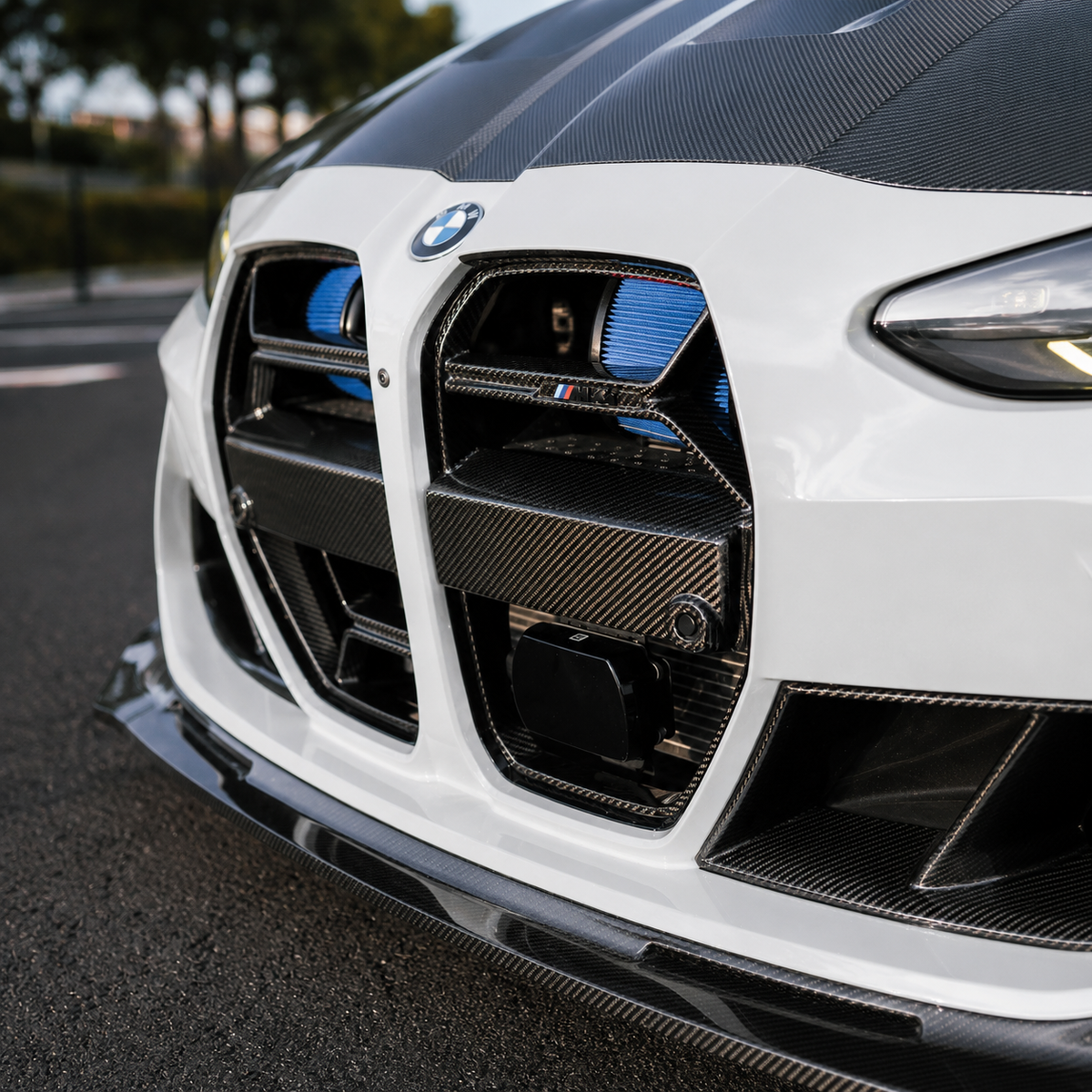 Carbon Fiber Grille CSL Style - BMW M3/M4