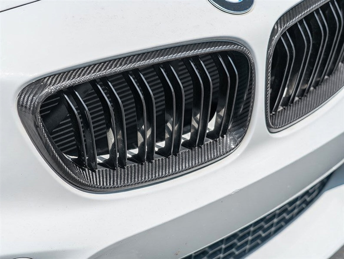Carbon Fiber Grille - BMW 2 Series