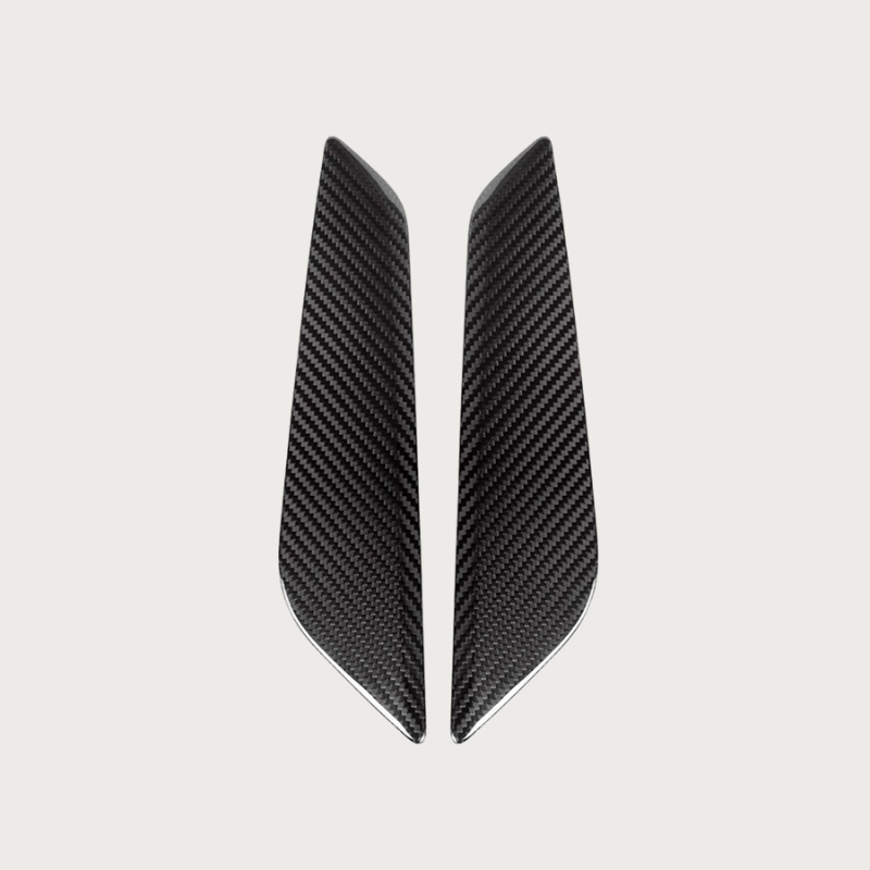 Carbon Fiber Side Fender - BMW M5