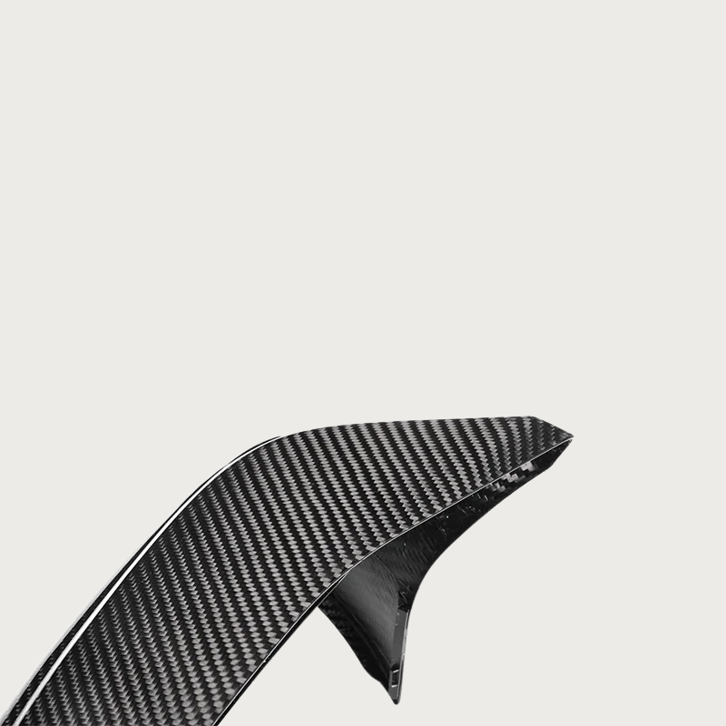 Carbon Fiber Mirror Caps - BMW M5