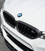 Carbon Fiber Front Kidney Grille - BMW 5 Series