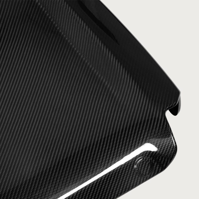 Carbon Fiber Full Seat Back - BMW M2/4