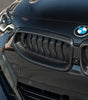 Carbon Fiber Kidney Grille - BMW 2 Series