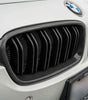 Carbon Fiber Kidney Grille - BMW 3 Series