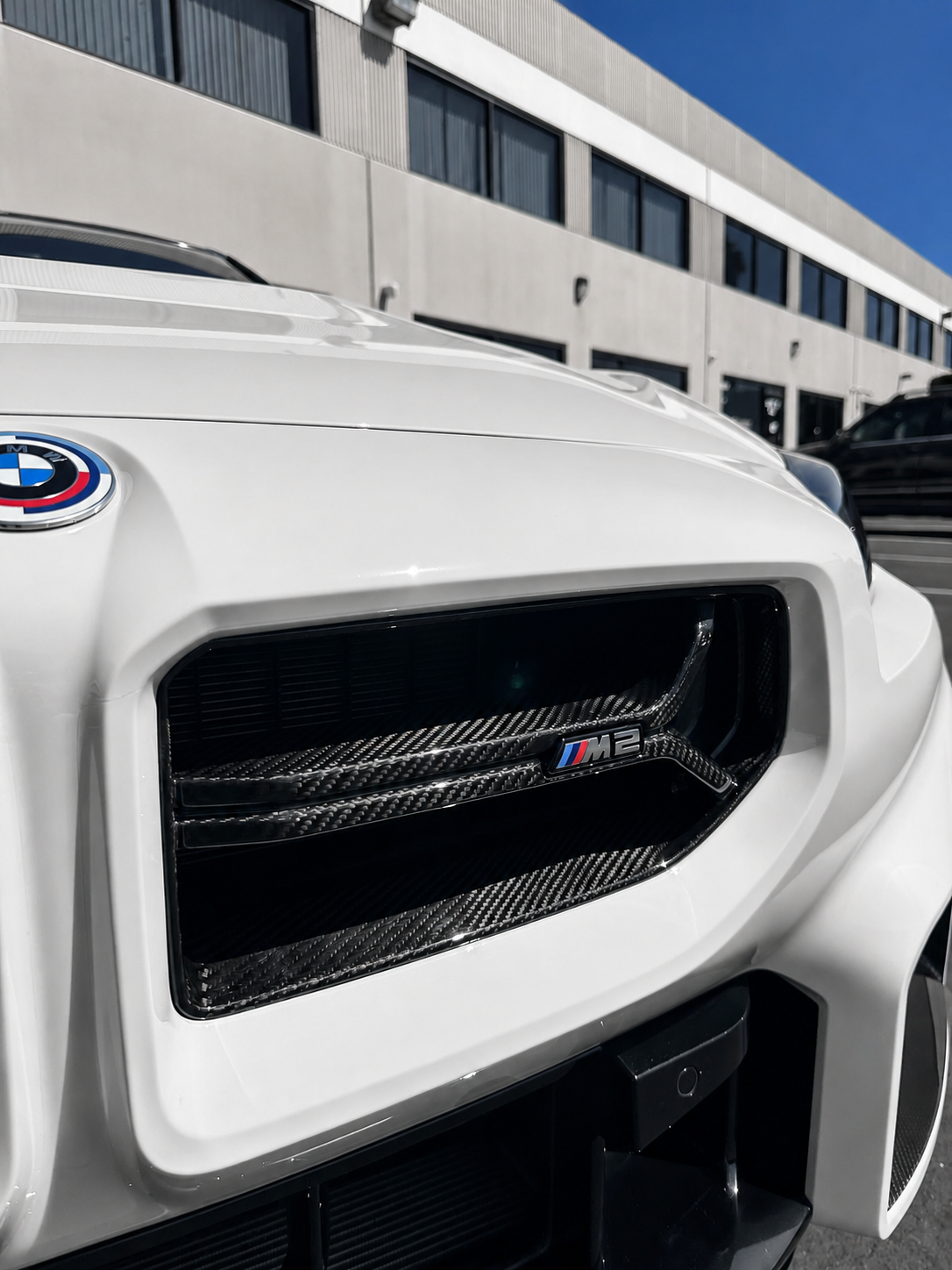 CSL Style Carbon Fiber Front Grille - BMW M2 G87