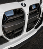 Carbon Fiber Grille CSL Style - BMW M3/M4