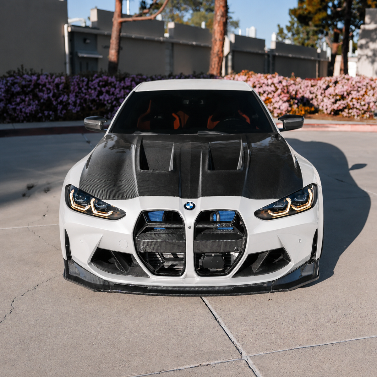 Carbon Fiber Grille CSL Style - BMW M3/M4