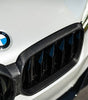 Carbon Fiber Kidney Grill - BMW 5 Series